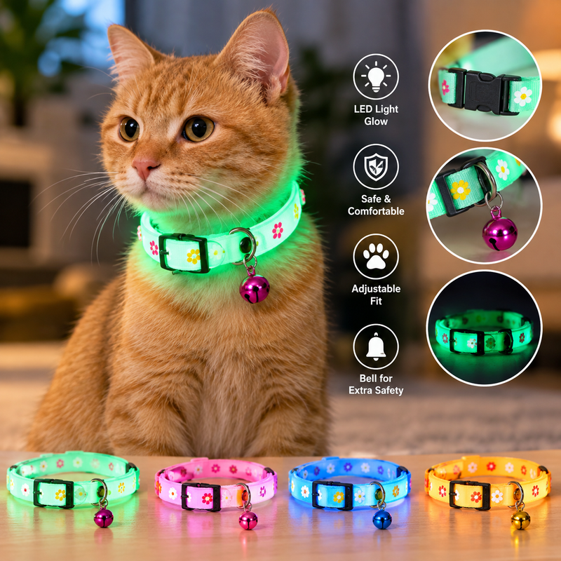 Glow Cat Collar with Bell