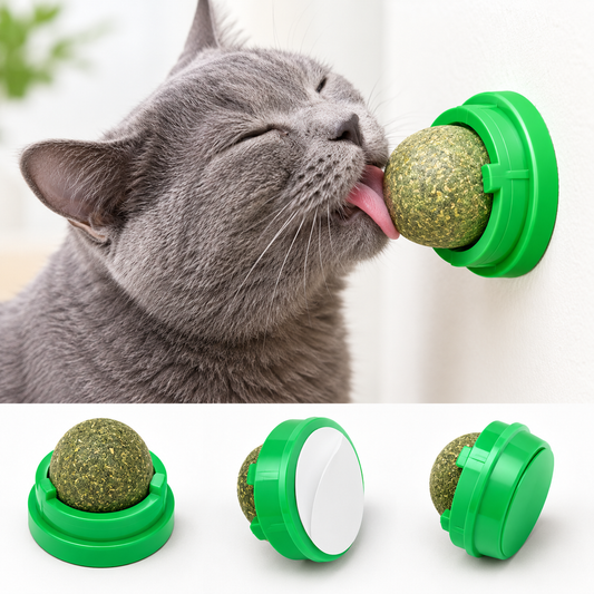 Catnip Self Grooming Ball Toy